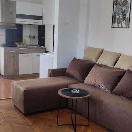 Apartment Mina Sokobanja Zewnętrze zdjęcie