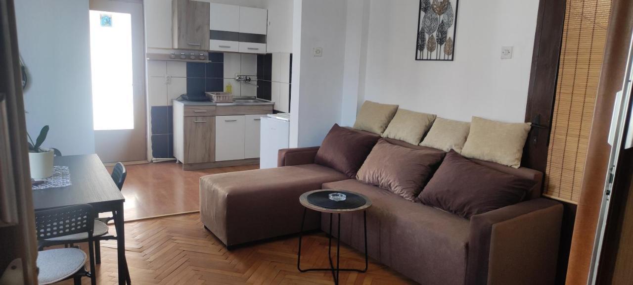 Apartment Mina Sokobanja Zewnętrze zdjęcie