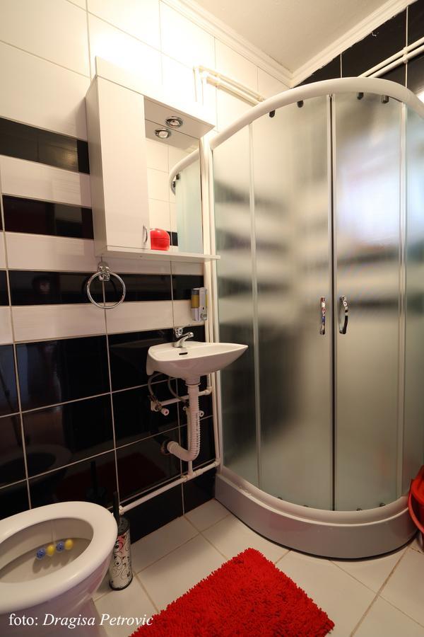 Apartment Mina Sokobanja Zewnętrze zdjęcie