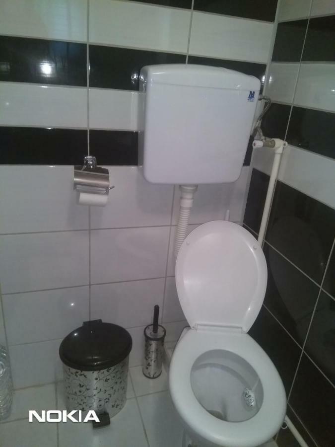 Apartment Mina Sokobanja Zewnętrze zdjęcie